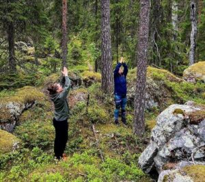 Metsäjooga